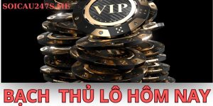 Bạch thủ lô hôm nay